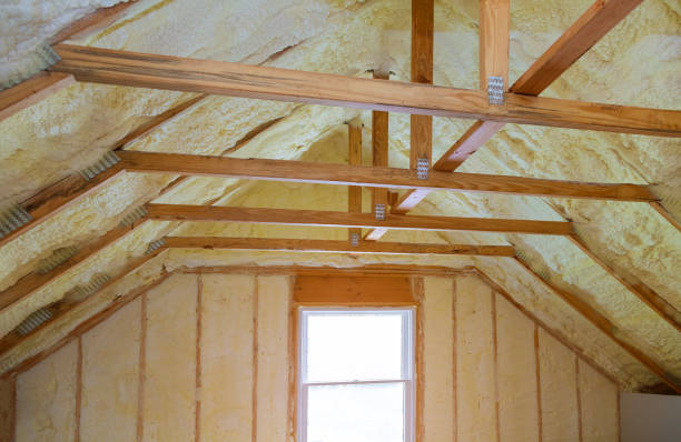 Best Residential Insulation in Morenci, MI